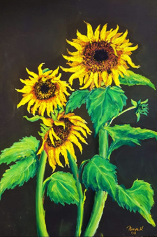 Napraforgók, 50x70, pasztell